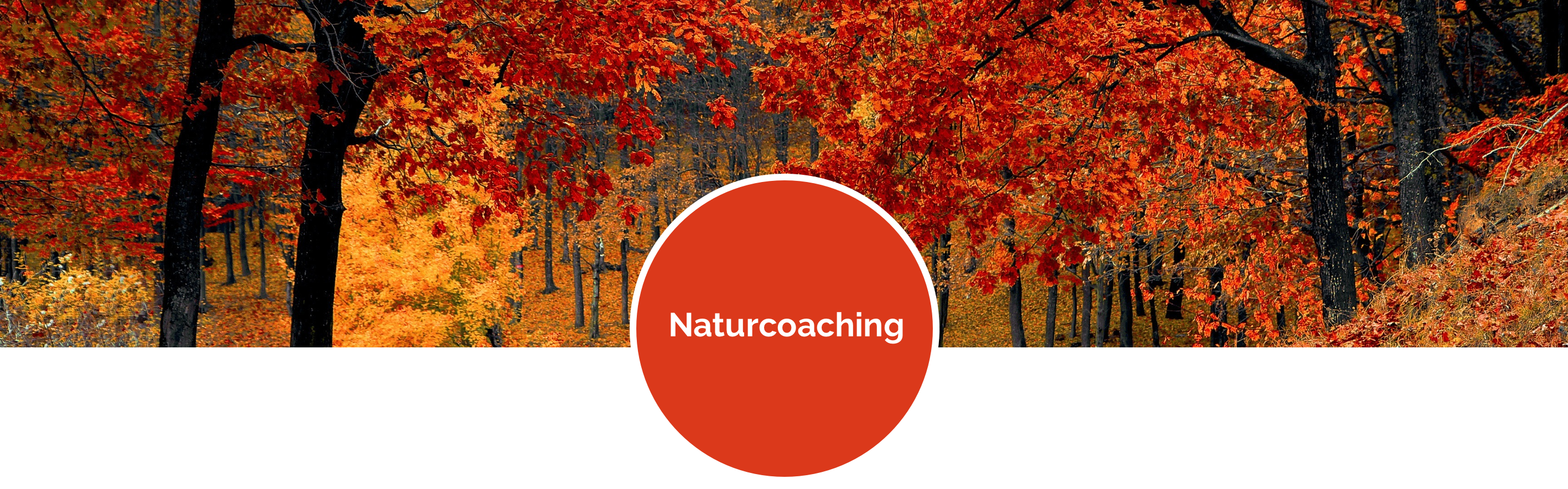 header_naturcoaching